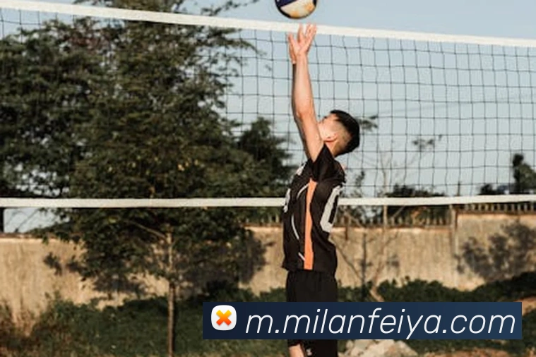 米兰milan官网全站App